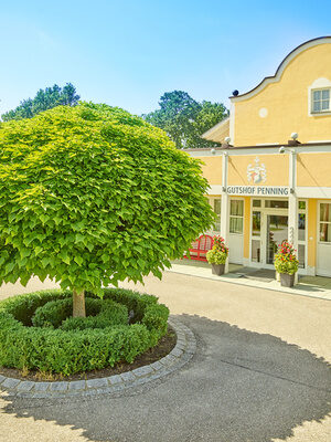 Der Eingangsbereich des Gutshofes Penning mit einem grünen Baum und blühenden Blumen vor einem gelben Gebäude.