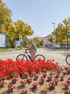 Zwei Radfahrer auf einer blühenden Straße.