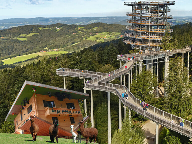 Baumwipfelpfad im Bayerischen Wald – eine weitere spannende Aktivität, die Shopping in Bad Griesbach ergänzen kann.