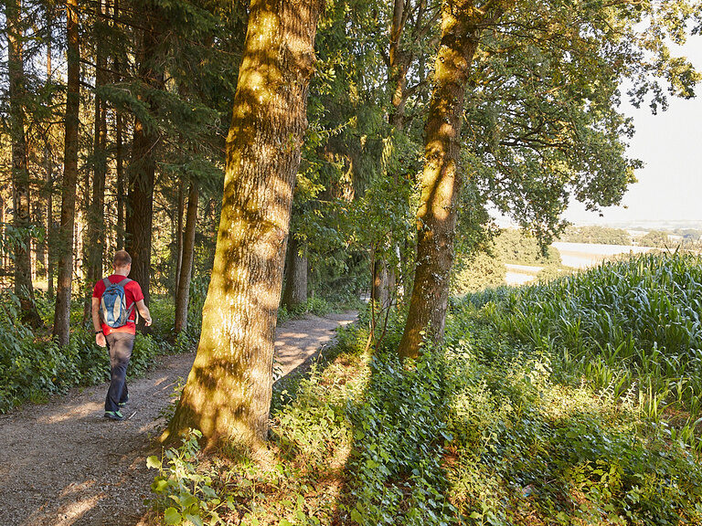 Ein Wanderer spaziert allein auf einem ruhigen Waldweg und schätzt die Ruhe beim Wandern bei Bad Griesbach.