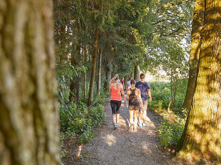 Eine Gruppe Menschen genießt das Wandern bei Bad Griesbach auf einem schattigen Waldweg.
