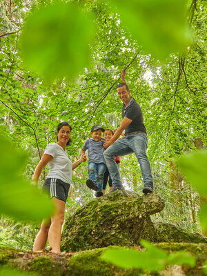 Eine Familie genießt die Natur und das Abenteuer beim Wandern bei Bad Griesbach inmitten eines grünen Waldes.