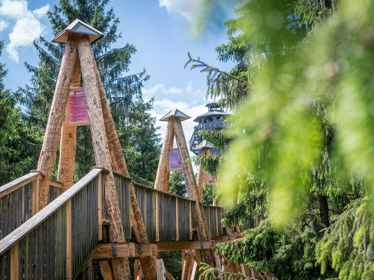 Brücke im Naturpark, ein beliebtes Ausflugsziel in Niederbayern für Naturliebhaber und Wanderfreunde.