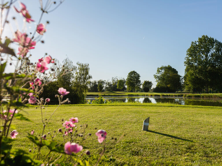 Blumen am Rand eines Teichs auf einem der Golfplätze in der Nähe von Bad Griesbach.