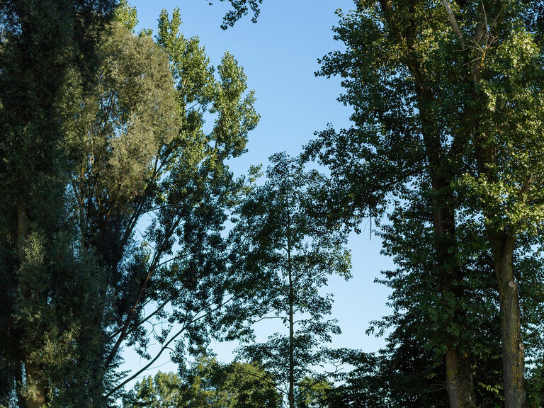 Ein kleiner Holzsteg auf einem der naturbelassenen Golfplätze in der Nähe von Bad Griesbach.